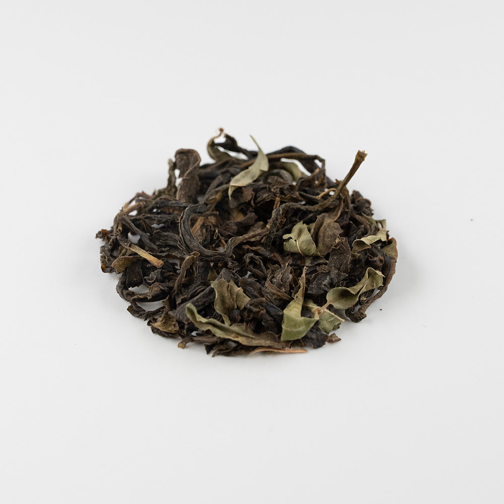Green Verbena
