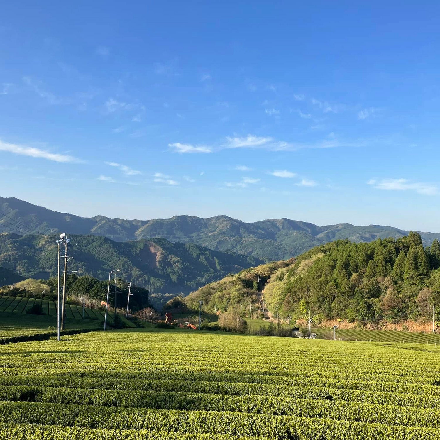 Gyokuro Goko