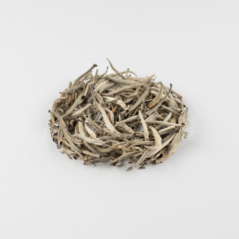 Silver Tips