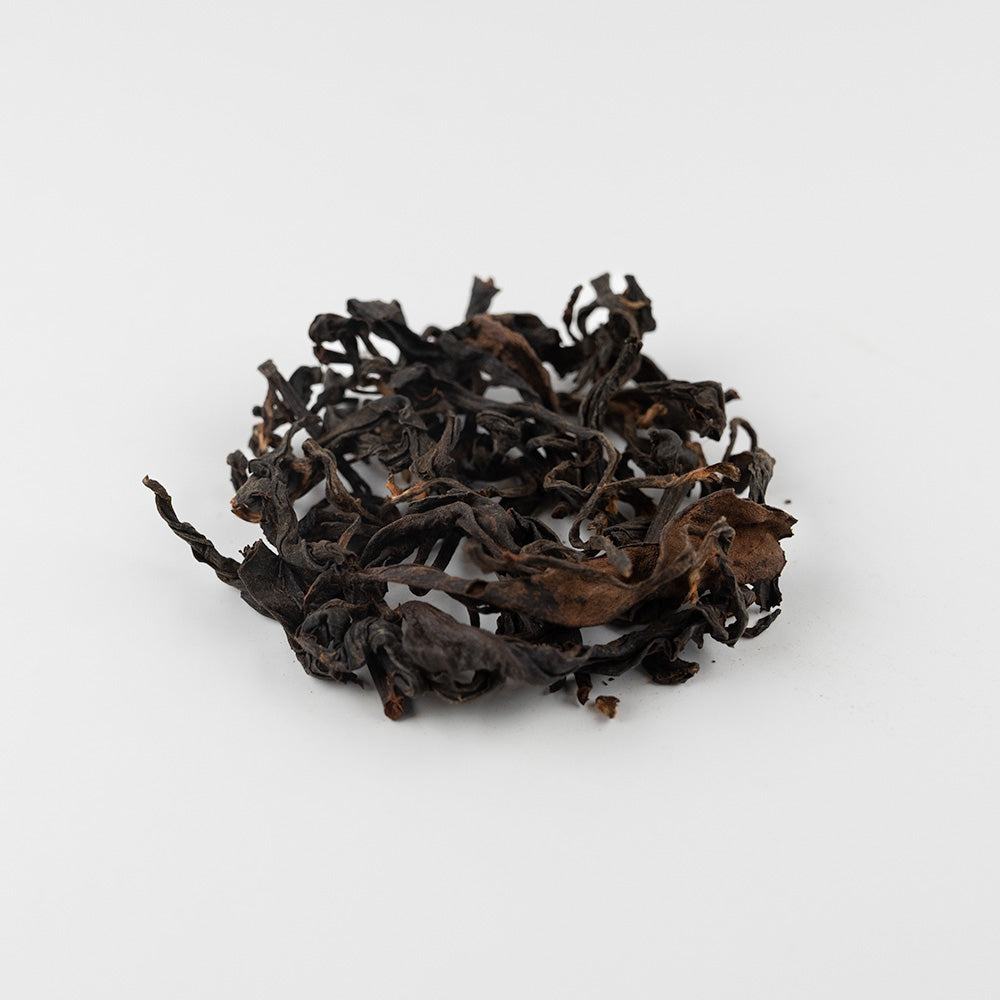 Wild Black